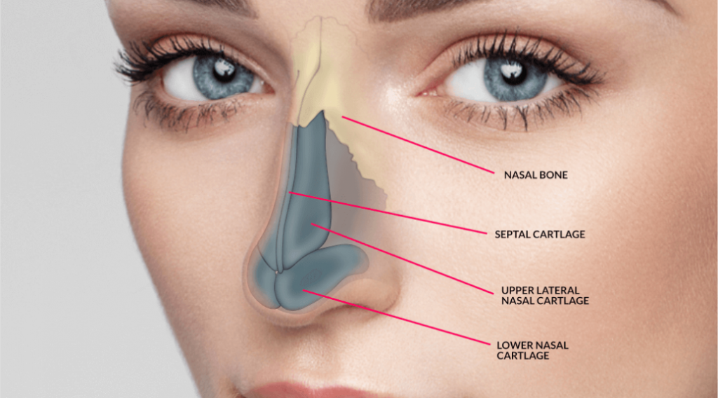 refaire le nez